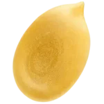 مغز تخمه هندوانه